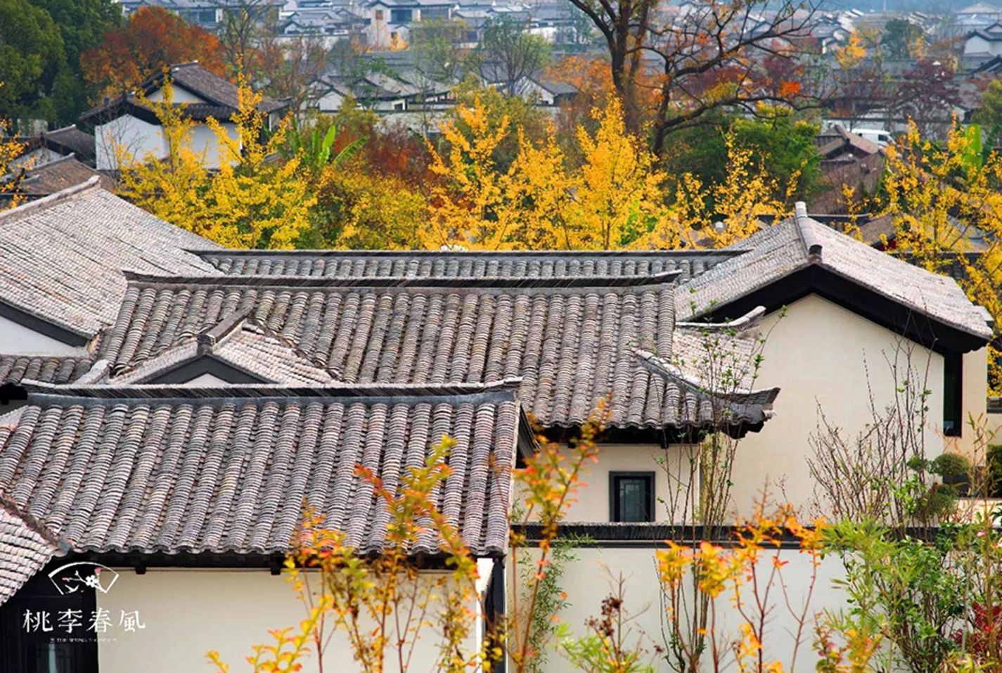 彩乐园·(中国区)官方网站